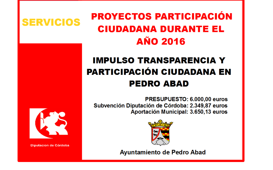Proyecto Participación Ciudadana 2016 1