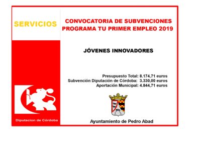 Tu Primer Empleo 2019 1