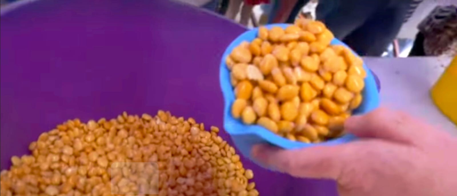 “¡Queremos chorchos!”: el grito centenario que convierte la romería de Pedro Abad en una fiesta única